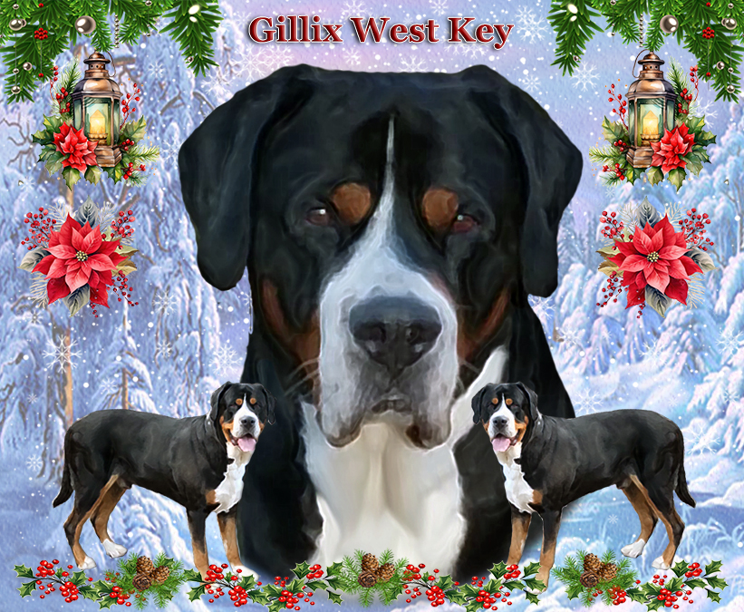 Gillix West Key